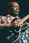 bbkingg.jpg (10880 bytes)