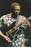 bbkingn.jpg (10917 bytes)