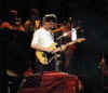 zappa2.jpg (7467 bytes)